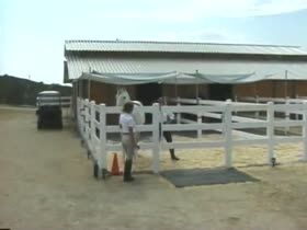 Stable Caning