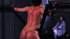 Wheel of Pain 27
