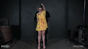 Red August - Insex
