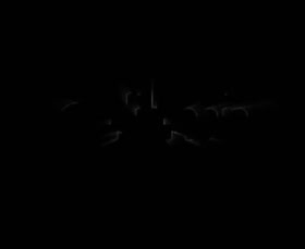 7th case - Elite Pain