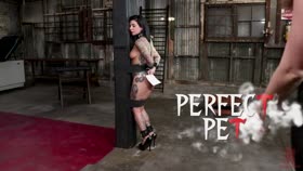 Joanna Angel - Everything butt