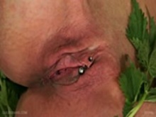 Queensnake.com - Nettle play part 2