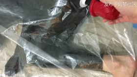 Pvc Breathplay - Asian