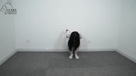 Nylon Bondage - Asian