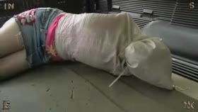 Insex - Young Lorelei Lee