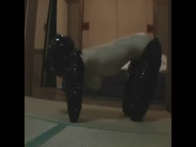 Electric Pet