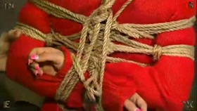 Insex - Suffering Duo