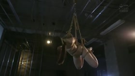 Hanging Around - Asian Suspension