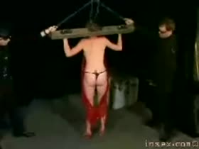 INSEX - Trial