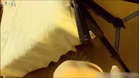 Gagged Asians