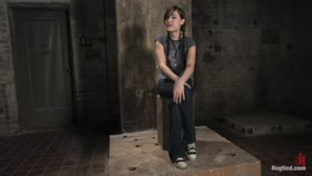Sasha Grey - in Hogtied