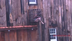 Charlotte Vale's Torment