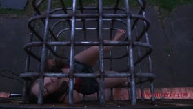 Charlotte Vale's Torment