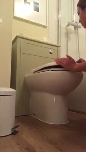 Toilet Cleaner