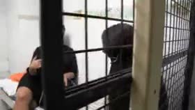 Lesbian Jail Cruelty