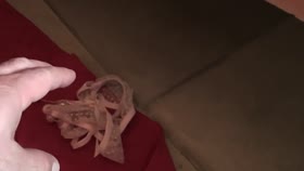 Cassidy's christmas fetish dreams