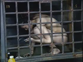 73s Live Feed - Insex
