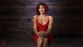 Daisy Ducati Dominated