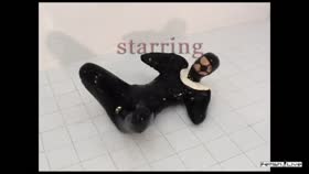 Latex Pet
