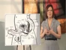 Want info about Strap-on? Strap-on Instructions