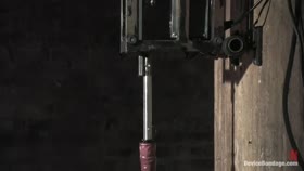 Amber Rayne - Machine Head