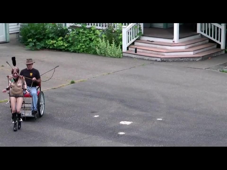 The Cart 