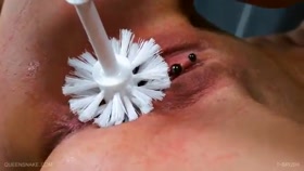 Queensnake - Toilet Bush Fuck