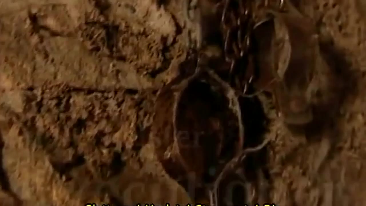 The master executioner