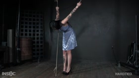 Rose Darling - Hardtied