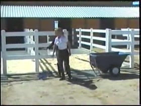 Stable Whipping - Lezdom
