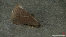 Samantha Sin - Lawyer in Prison