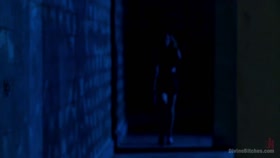 Lily Lane - Bitch Boy's Place