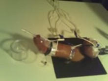 Extreme CBT with electrotorture and cock board