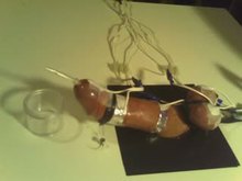 Extreme CBT with electrotorture and cock board