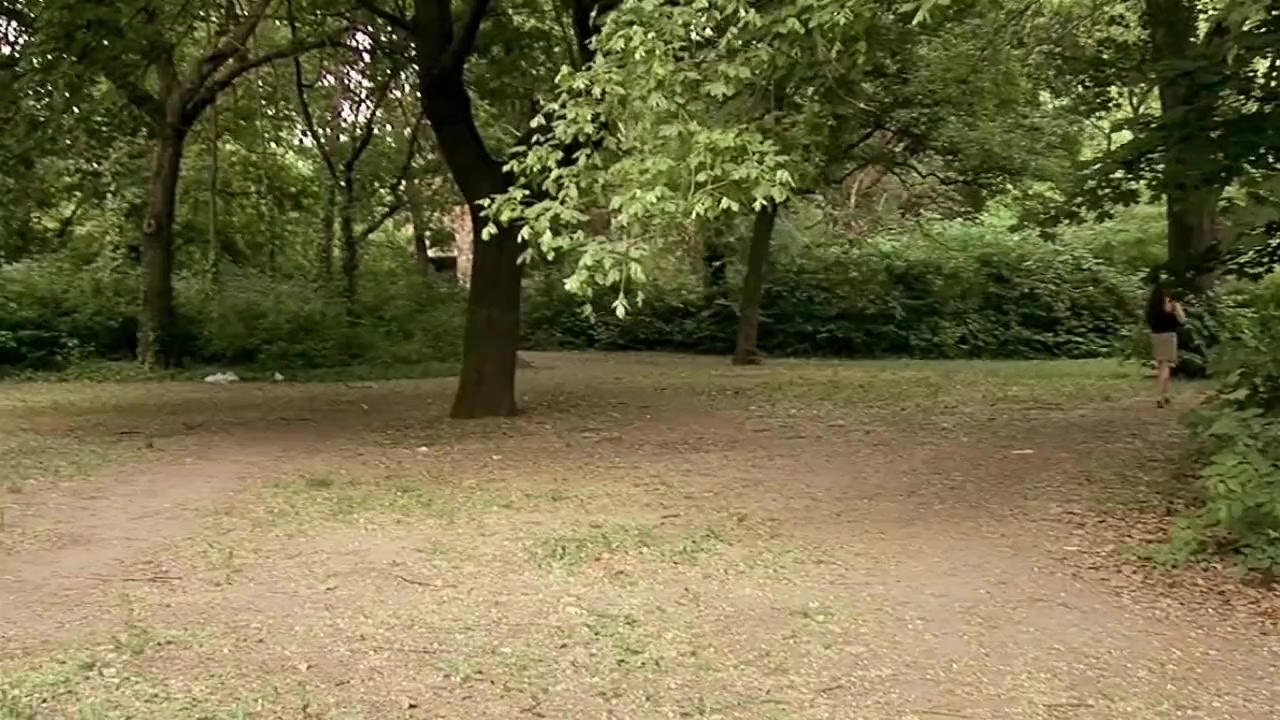 Captured At Woods