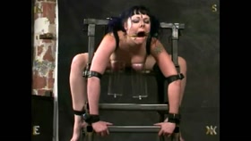 Dolly - Insex