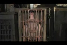 PD Training Pony Girl