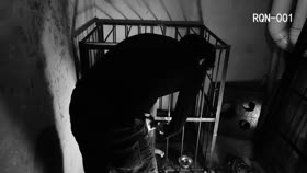 Cage