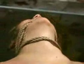 Tyler S - Insex