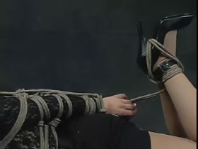 Insex - Blind Live Feed