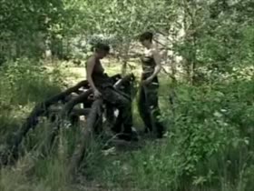 Military Dykes