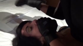 Ninja Cat Burglar Captures