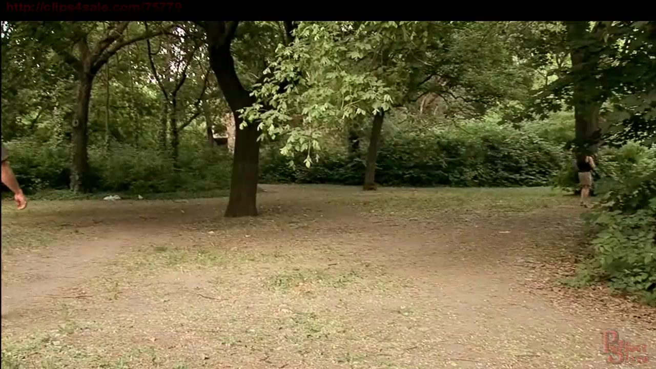 Captured In The Park