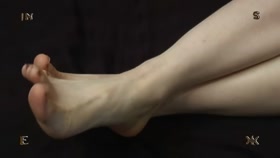 Insex 2005 05 21 The Proposal Part 1 Az Angelene