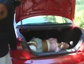 Lola In Car Trunk