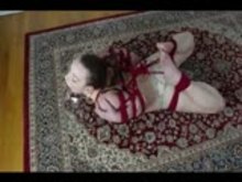 Bondage - Hogtied