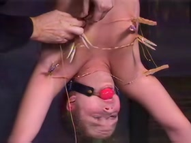 Insex 2000 - Tyler Scott - Live Feed