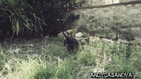 Le Tre Chiavi Del Terrore - Film - Full