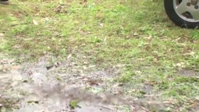 Tiny Japanese Schoolgirl Abused And Fucked Hard By Group In The Rain