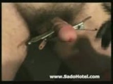 Balls tortured with Sandpaper